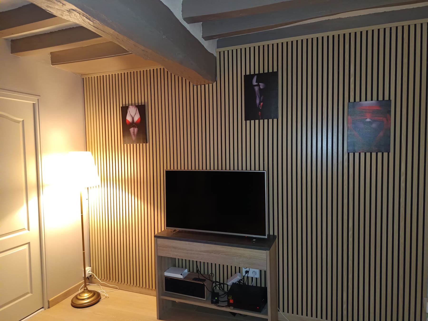 Salon avec télévision et lambris