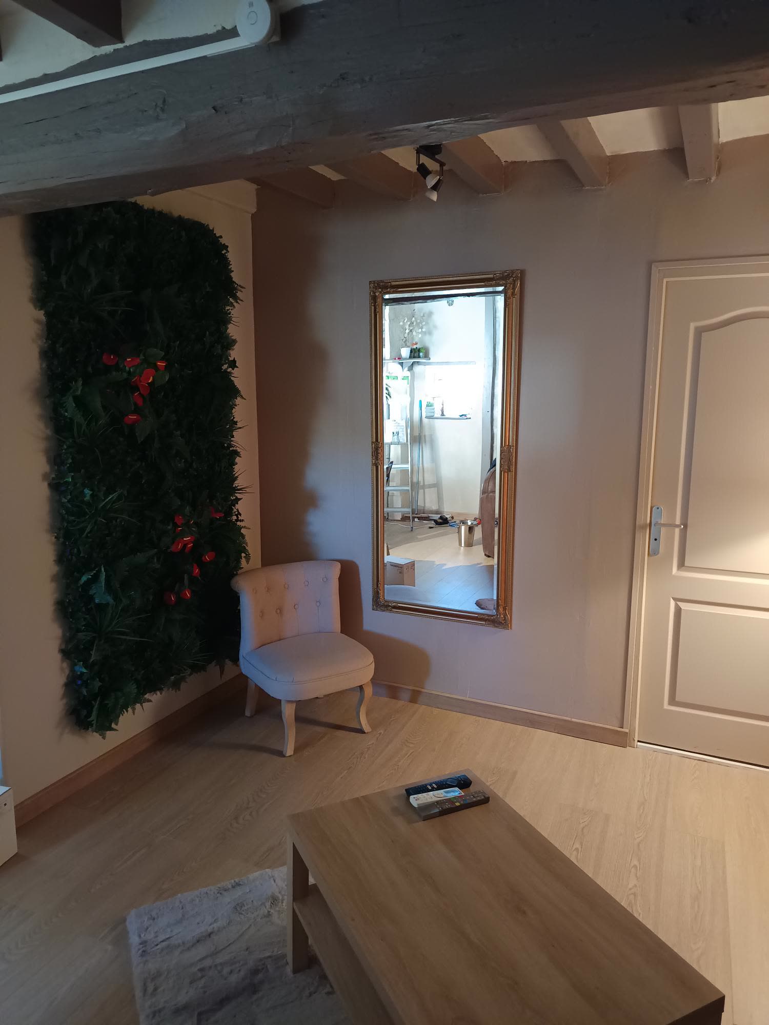 Salon, mur végétal et fauteuil crapaud
